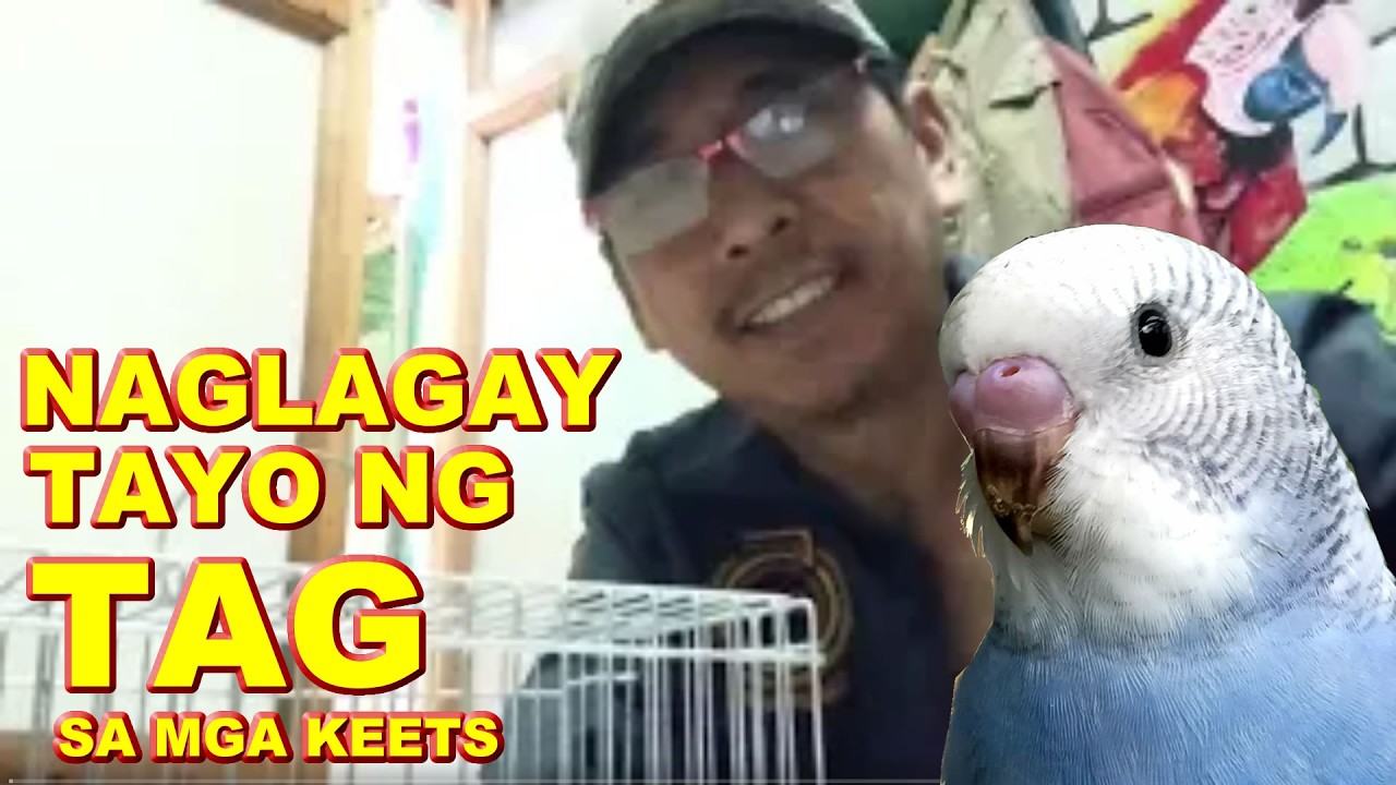 NAG TAG TAYO SA MGA KEETS NA IPROJECT NATIN MGA LODS