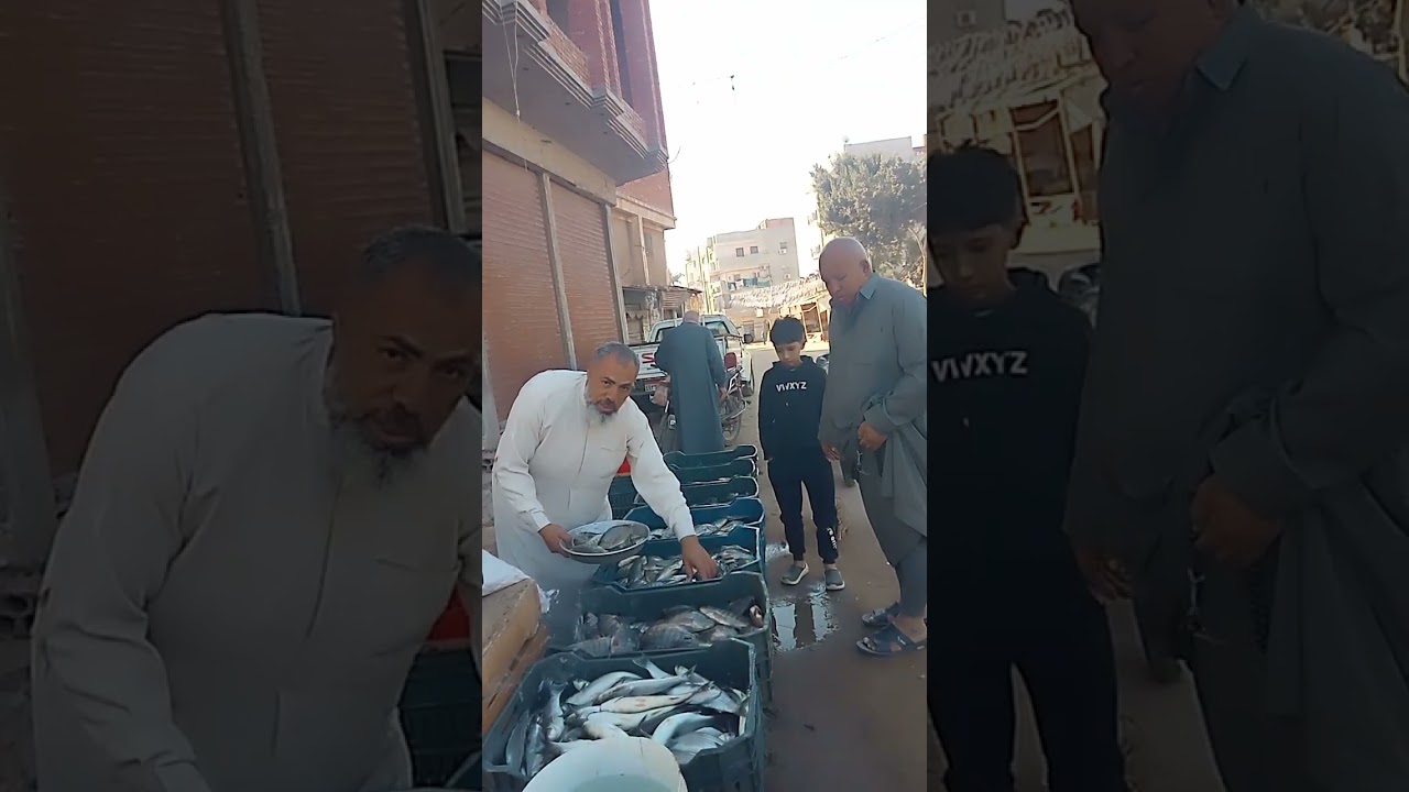 الخميس 12/2/2026 السمك وصل طازه بيلعب من المزرعه صباح الرزق الحلال#اسماك