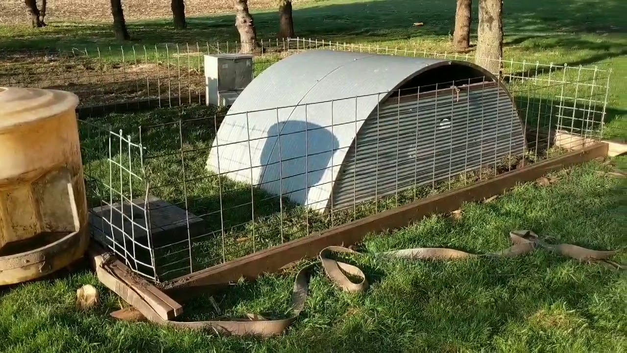 Pig Tractor