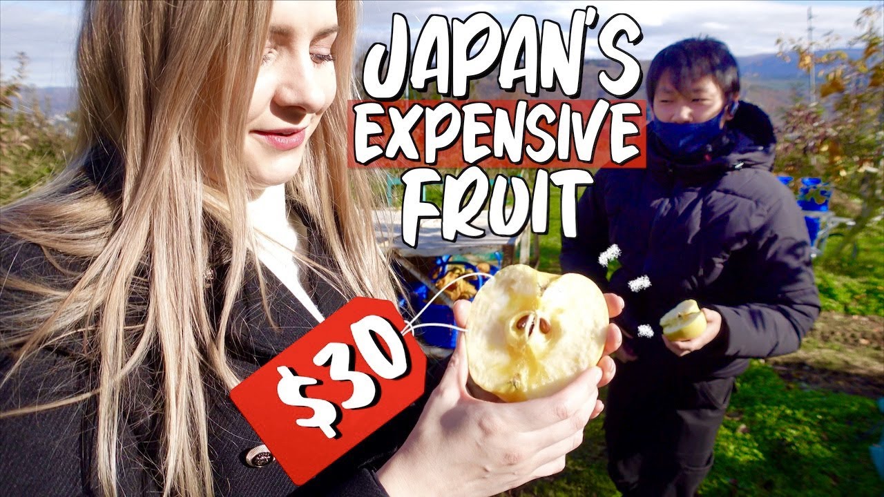Why Japanese Fruit is SO Expensive 🍎