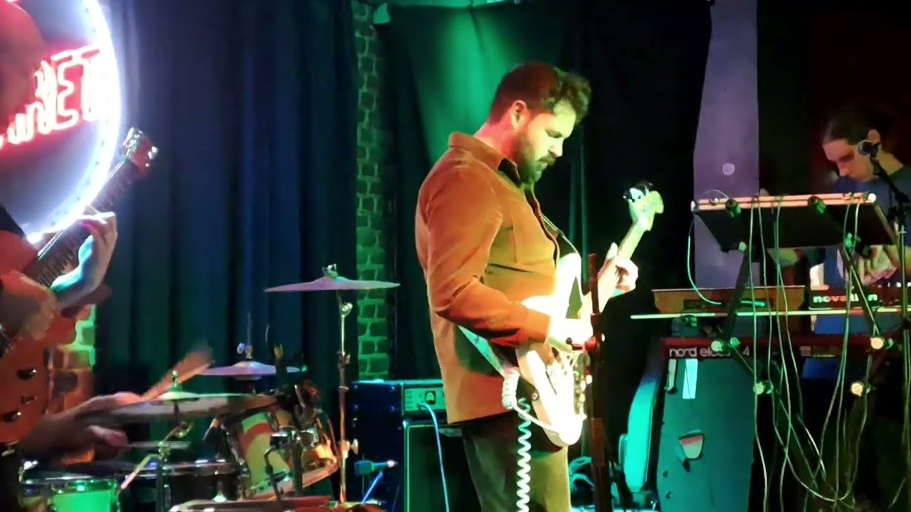 Hawk Owl,  live , Preston,  2025 