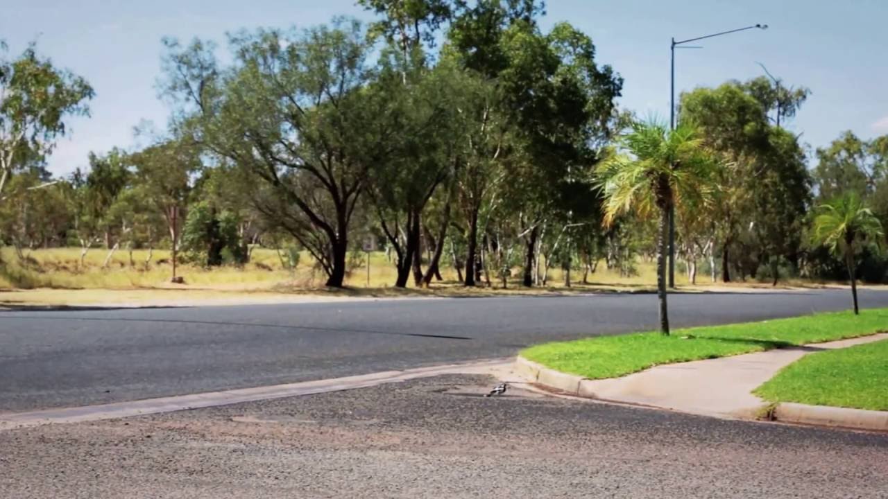 Desert Palms Youtube