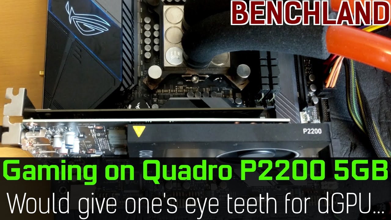 Quadro P2200 5GB Gaming. Cause why not?