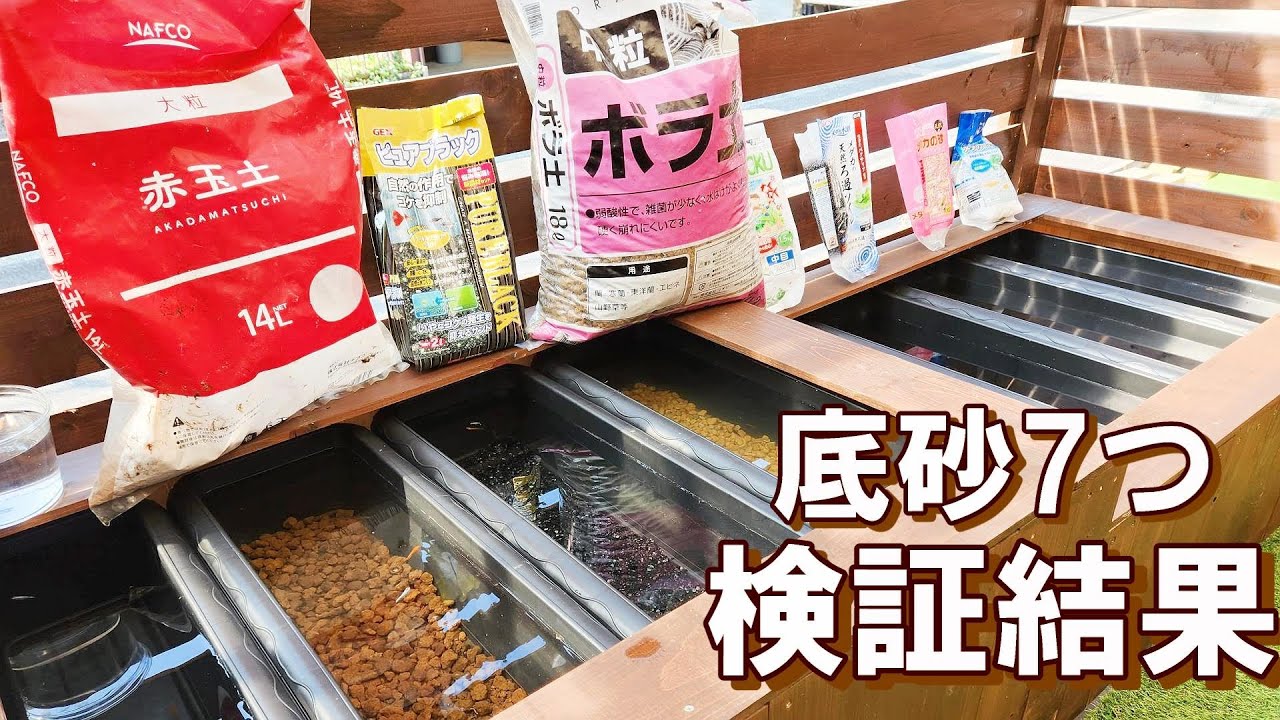 メダカの底床を７つ試した結果、おすすめはいったい何？