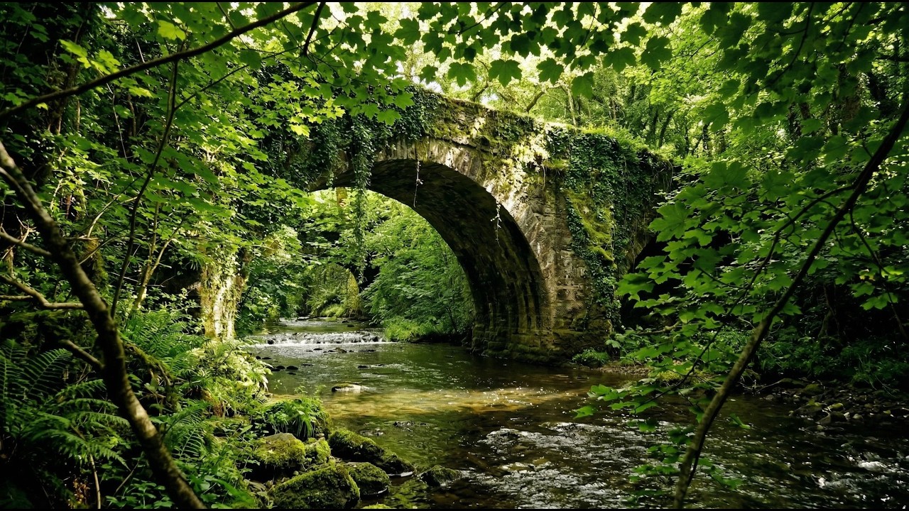Tranquil Bubbling Creek under an Ancient Mossy Bridge | 3 Hours of Nature Sounds for Rest