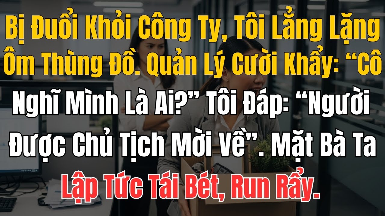 Bị Đuổi Khỏi Công Ty, Tôi Lẳng Lặng Ôm Thùng Đồ. Quản Lý Cười Khẩy: “Cô Nghĩ Mình Là Ai?” Tôi Đáp