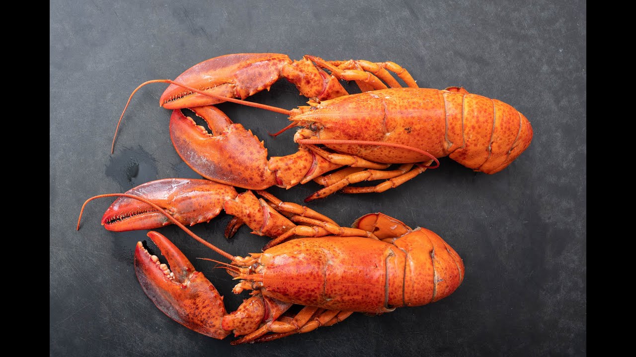 Hummer zubereiten &ndash; Prepare Lobster Simple