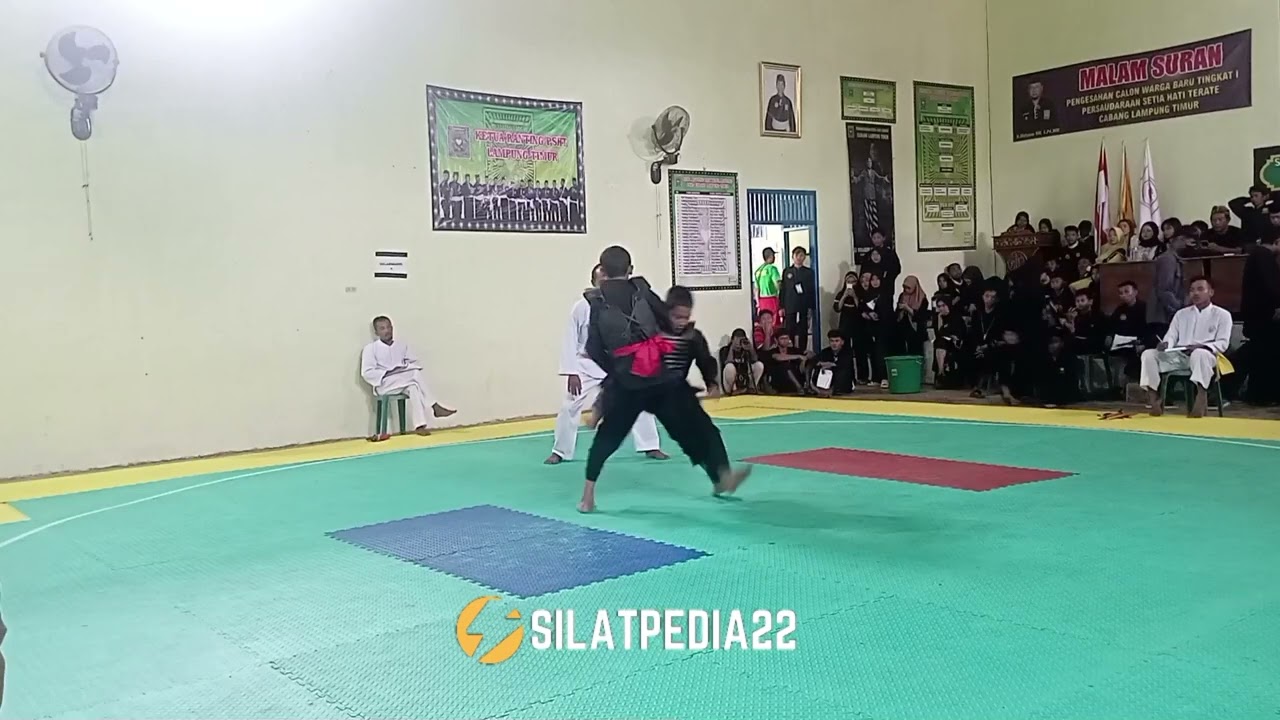 PSHT Metro berlaga‼️ Restu Surya 🔵vs Lampung Timur 🔴