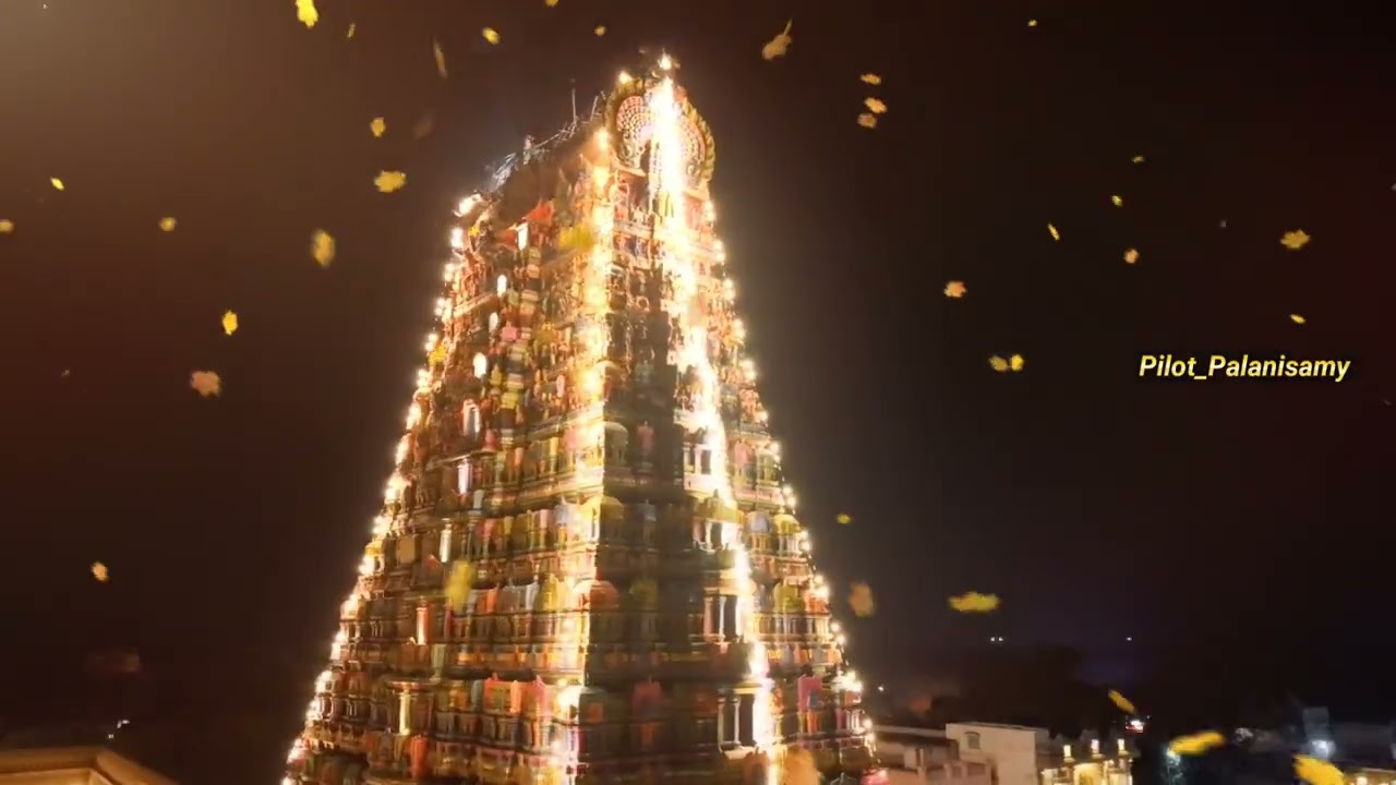   Mannargudi Rajagopalaswamy (மன்னார்குடி ராஜகோபாலசுவாமி ) முதலாம் குலோத்துங்க சோழன்  கழுகு பார்வை