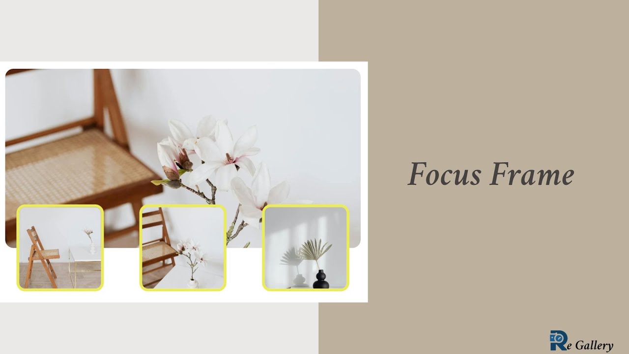 Why WordPress + Re Gallery Is the Smartest Choice for Stunning Image Galleries in 2025