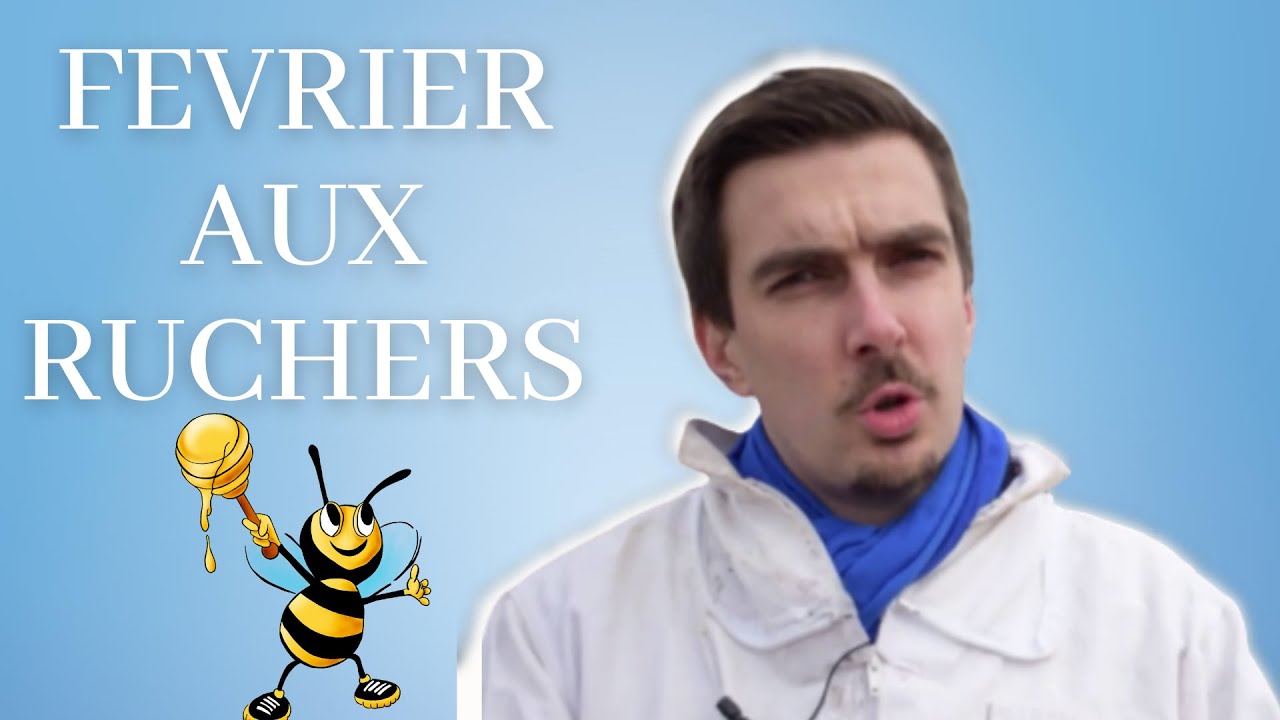 Février aux ruches: Que faire?