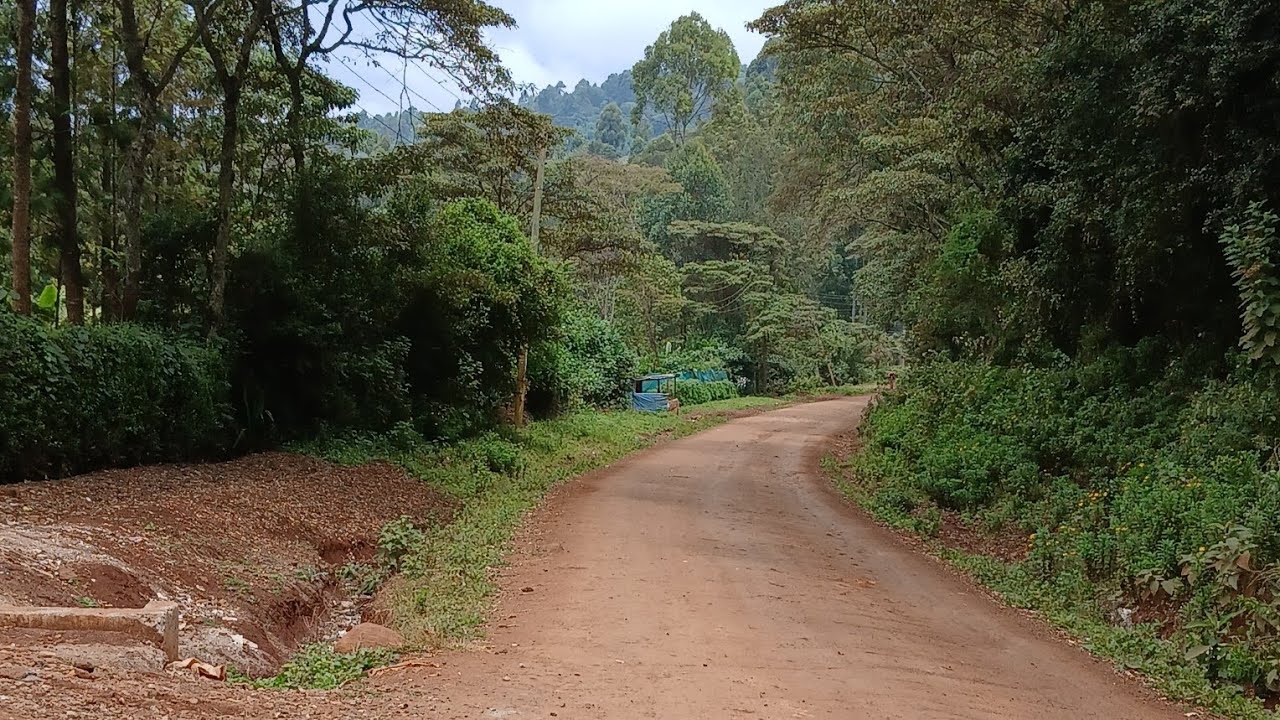 NO DULL DAY IN MY AFRICAN VILLAGE!!!