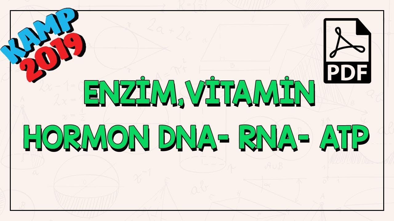 Organik Bileşikler | Enzim, Vitamin, Hormon DNA- RNA - ATP