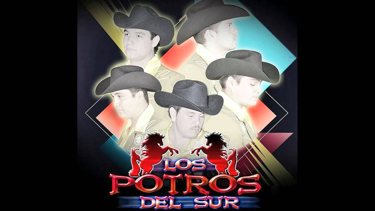 MIX POTROS DEL SUR