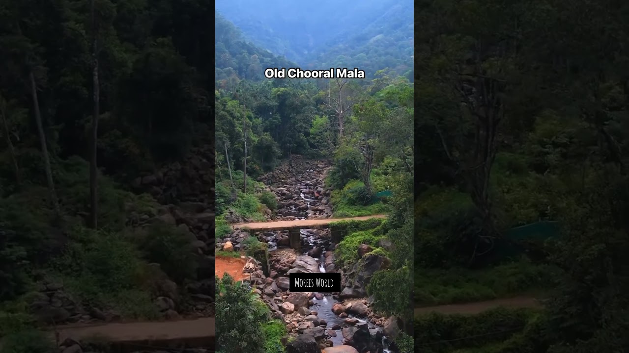 Before Chooralmala  And After Chooralmala #wayanad #chooralmala #mundakai #landslide #landscape