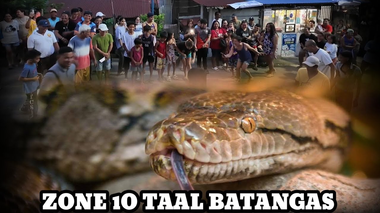 PAG HAHANAP SA KINATATAKUTANG SAWA | BRGY ZONE 10 TAAL BATANGAS.