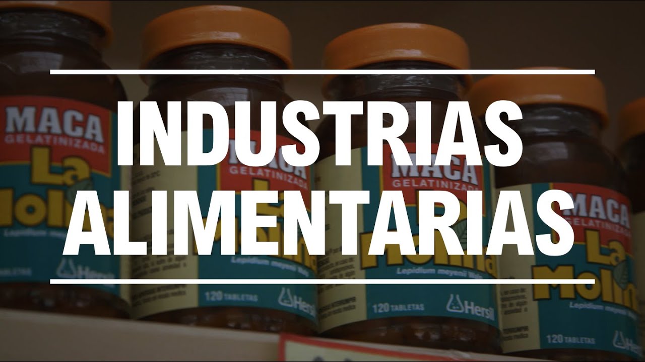 Estudia Ingeniería en Industrias Alimentarias en la UNALM