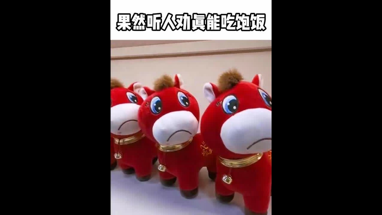 盘点全网被迫改行的五大老板#万万想不到 #万紫千红 #哭哭马
