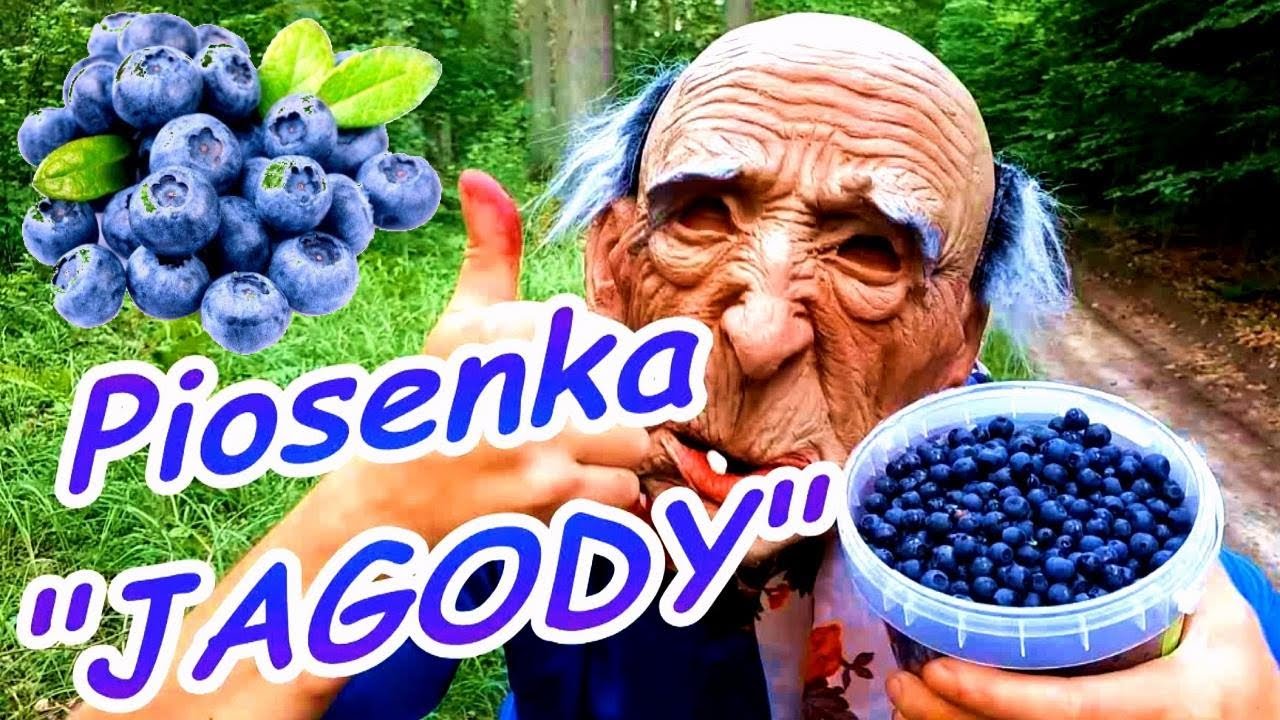 Piosenka o Jagodach 2024 Śmieszne Piosenki Jag&oacute;dki Polskie Parodie Jagody Hity Humorek Po Polsku PL