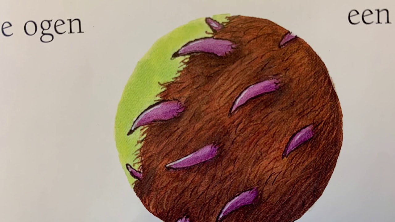 Voorlezen uit De Gruffalo! - Kleuterjuf Lisa - groep 1 en groep 2