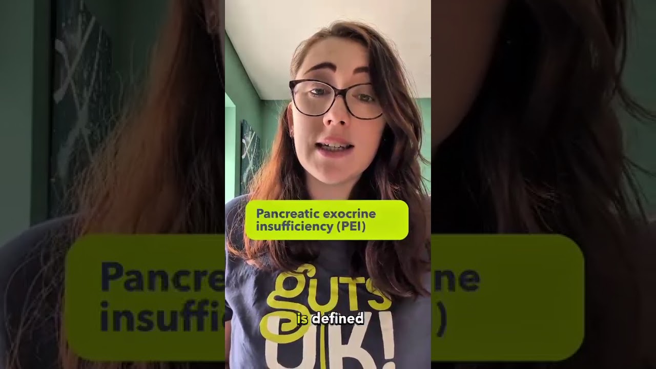 What is the pancreas and pancreatic exocrine insufficiency (PEI)?