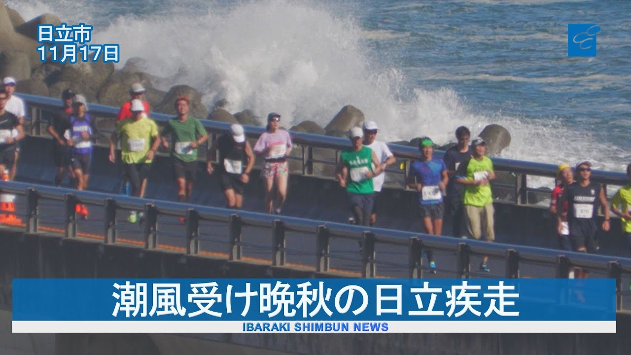 潮風受け晩秋の日立疾走　初マラソンに4396人　ひたちシーサイドマラソン2024