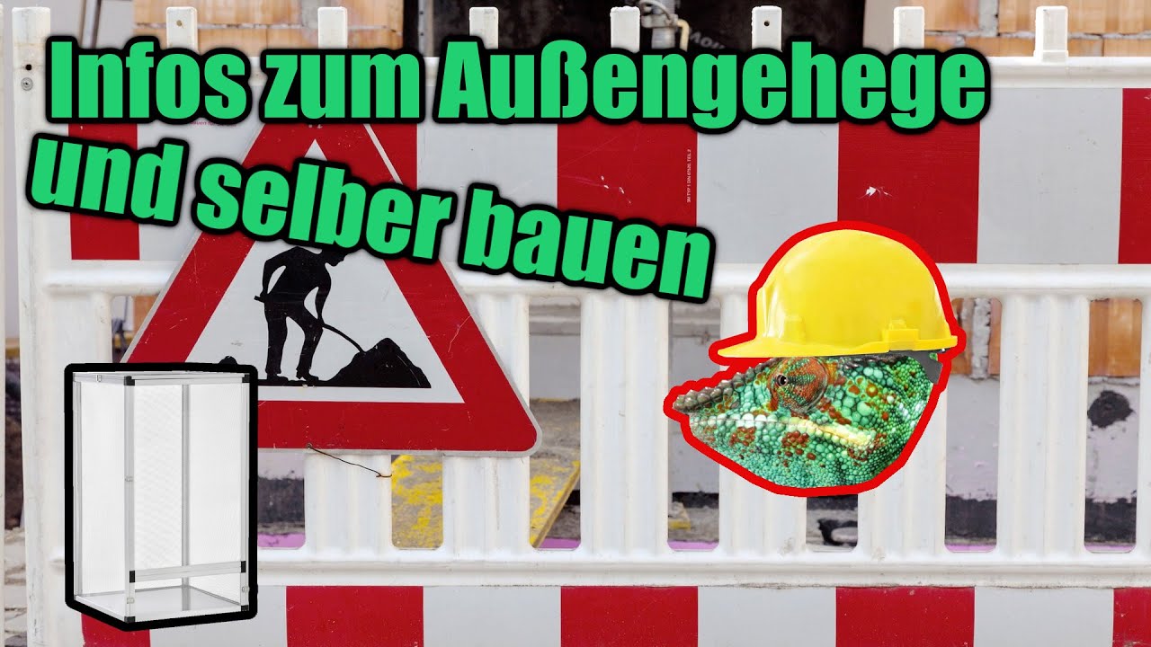 Alle INFOS zum AU&szlig;ENTERRARIUM | Cham&auml;leon Basics