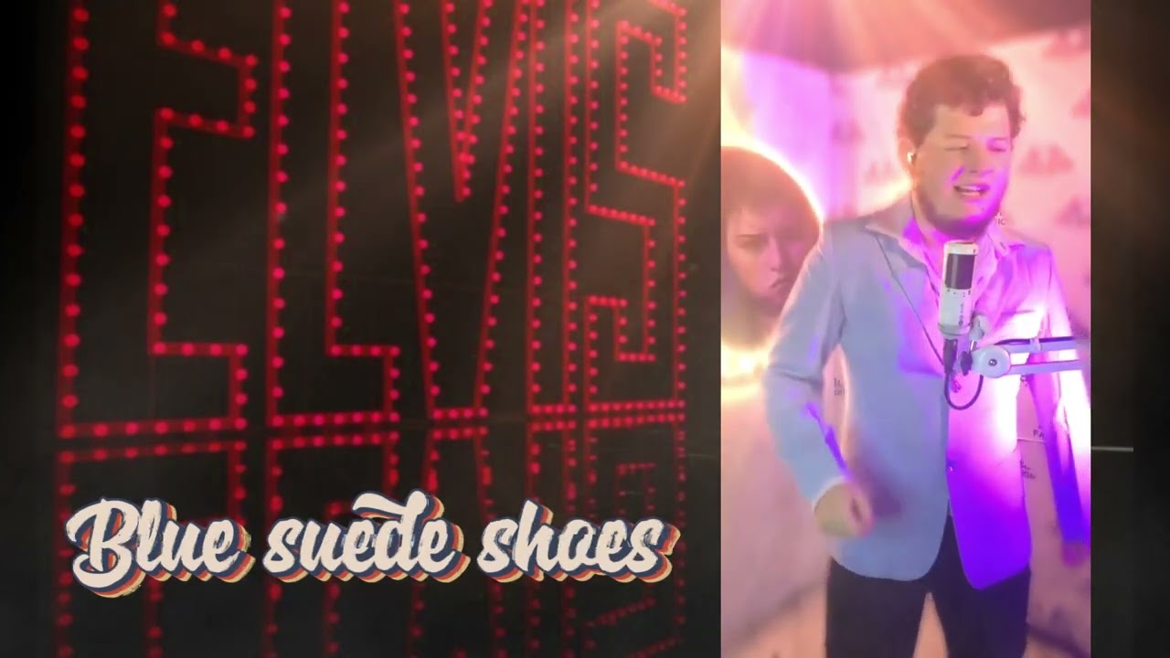 BLUE SUEDE SHOES COVER