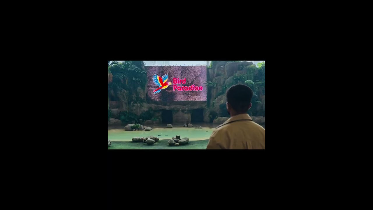 Singapore’s Bird Paradise 🇸🇬 | Cinematic Wildlife Experience That Feels Unreal #travel #wildlife 