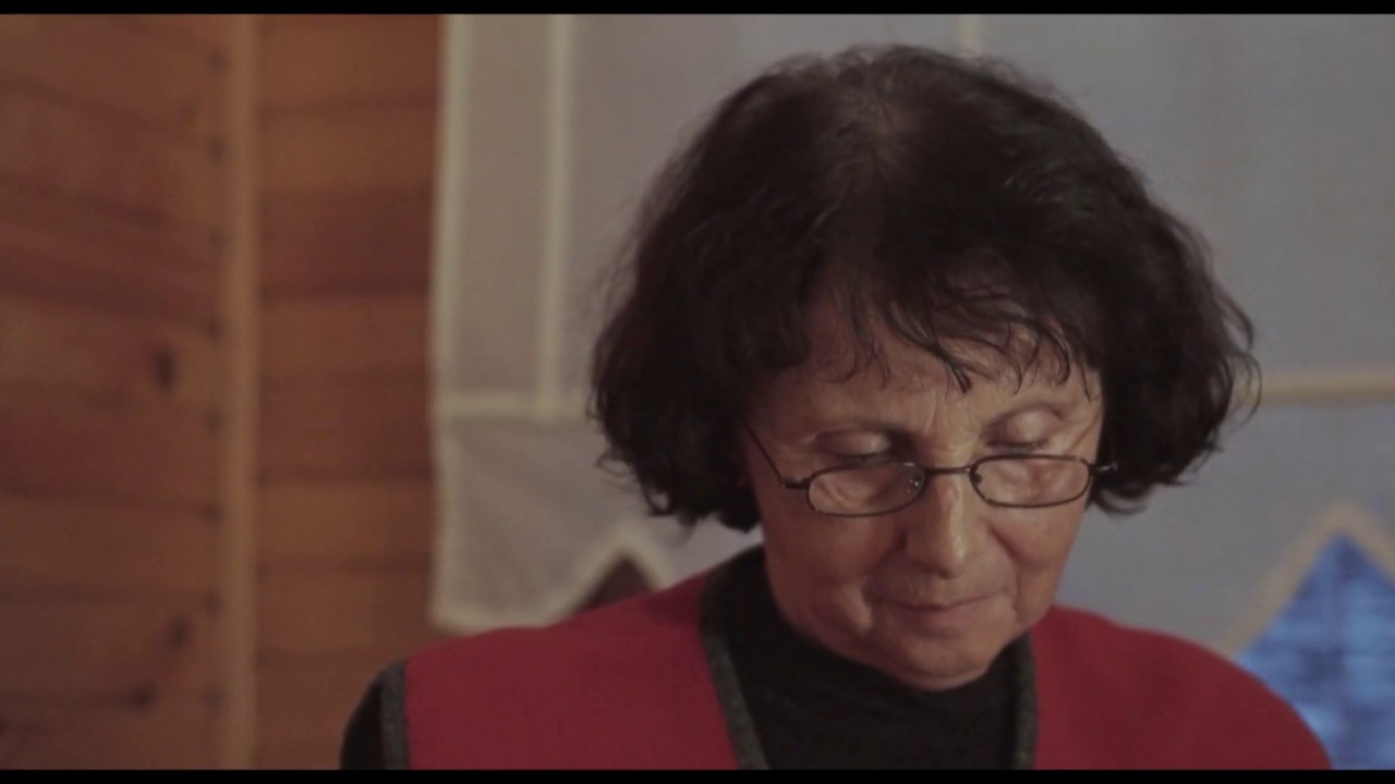 SESTRELJENI (2017)