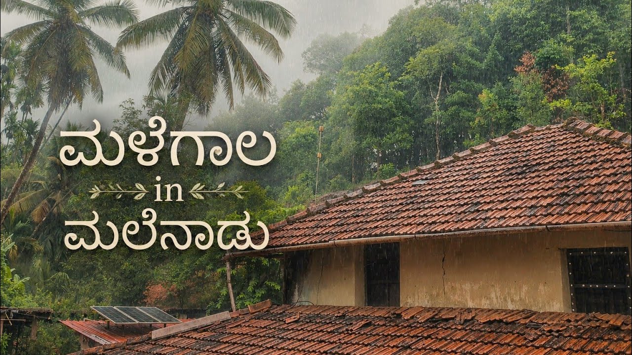 Start of monsoon in malenadu || cinematic village video || works during monsoon season in village ||