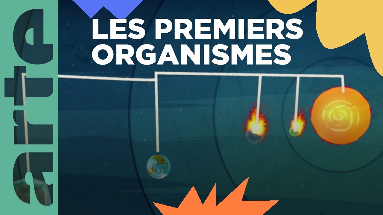 L’origine de la vie | La formation de la Terre | ARTE Family