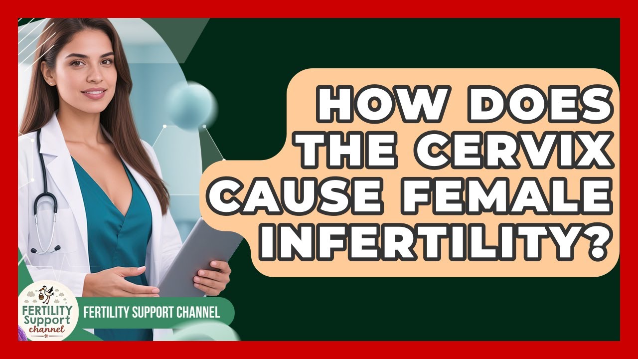 How Does The Cervix Cause Female Infertility? - Fertility Support Channel