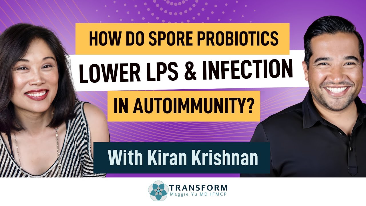 Why does taking probiotic & spore probiotic lower LPS & infection in autoimmunity?