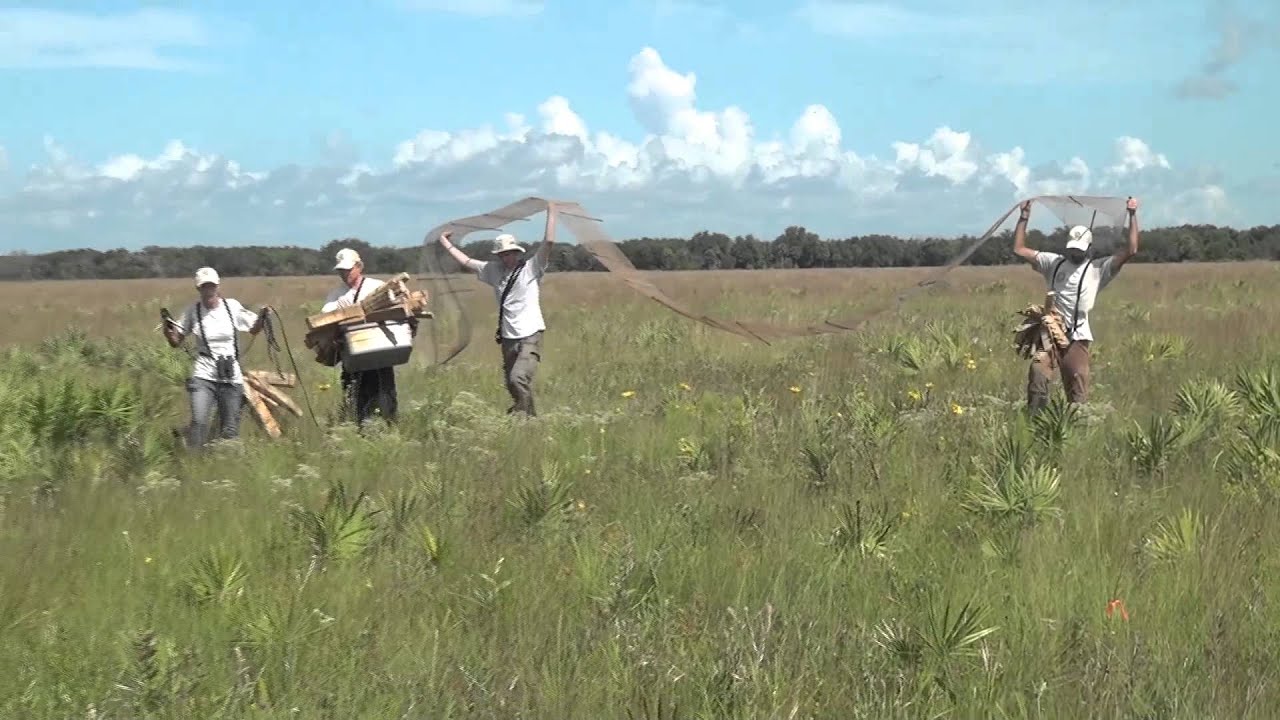 How to Install a Predator Deflection Fence