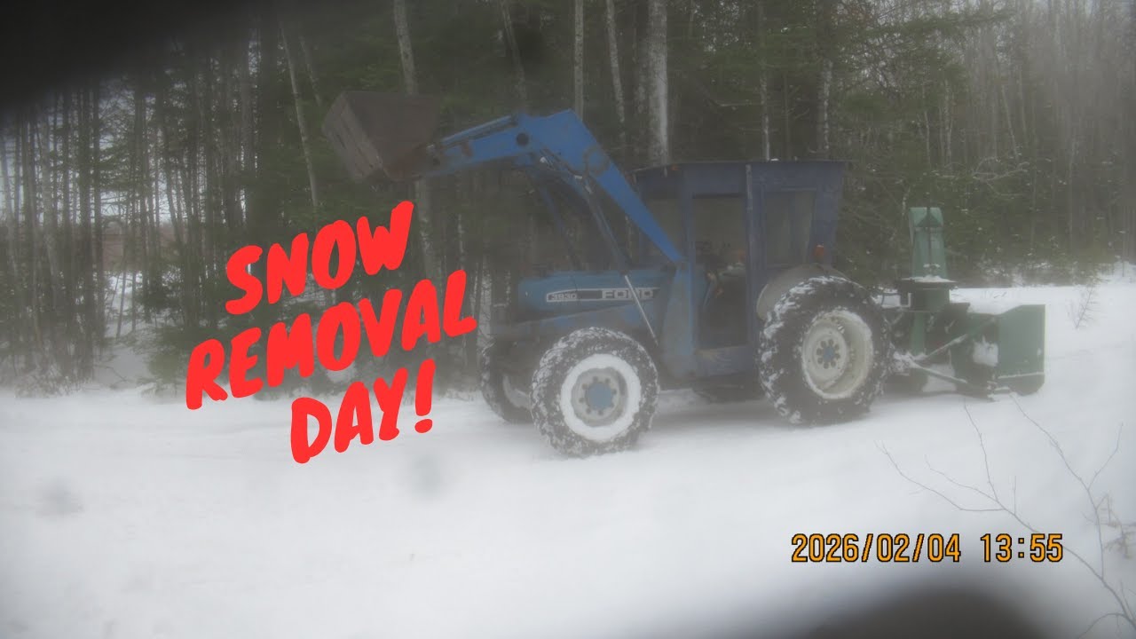 Making money blowing snow 2026 02 04