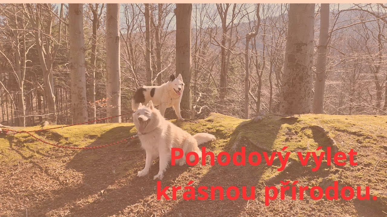 Výlet z Kryštofova údolí do Jítravy (Jěštědsko-Kozákovský hřbet)