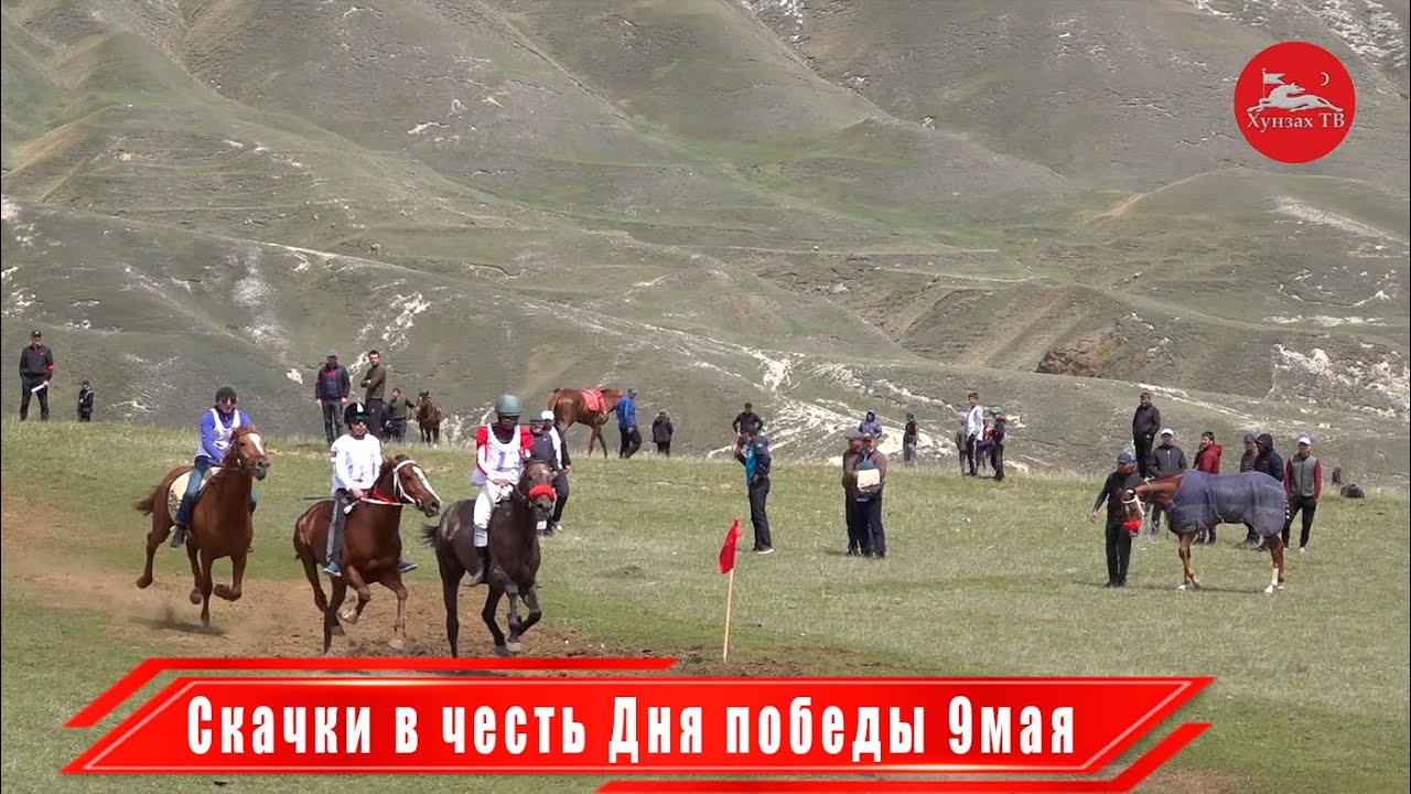 Скачки в честь Дня победы 9мая