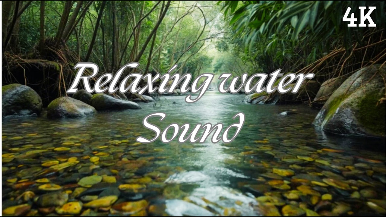 Crystal Clear River Sounds 🌿 Forest Stream Ambience for Sleep & Relaxation