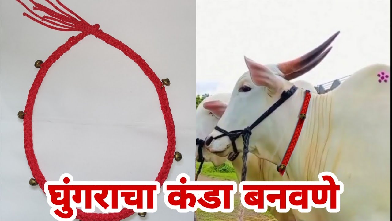 घुंगराचा कंडा बनवणे