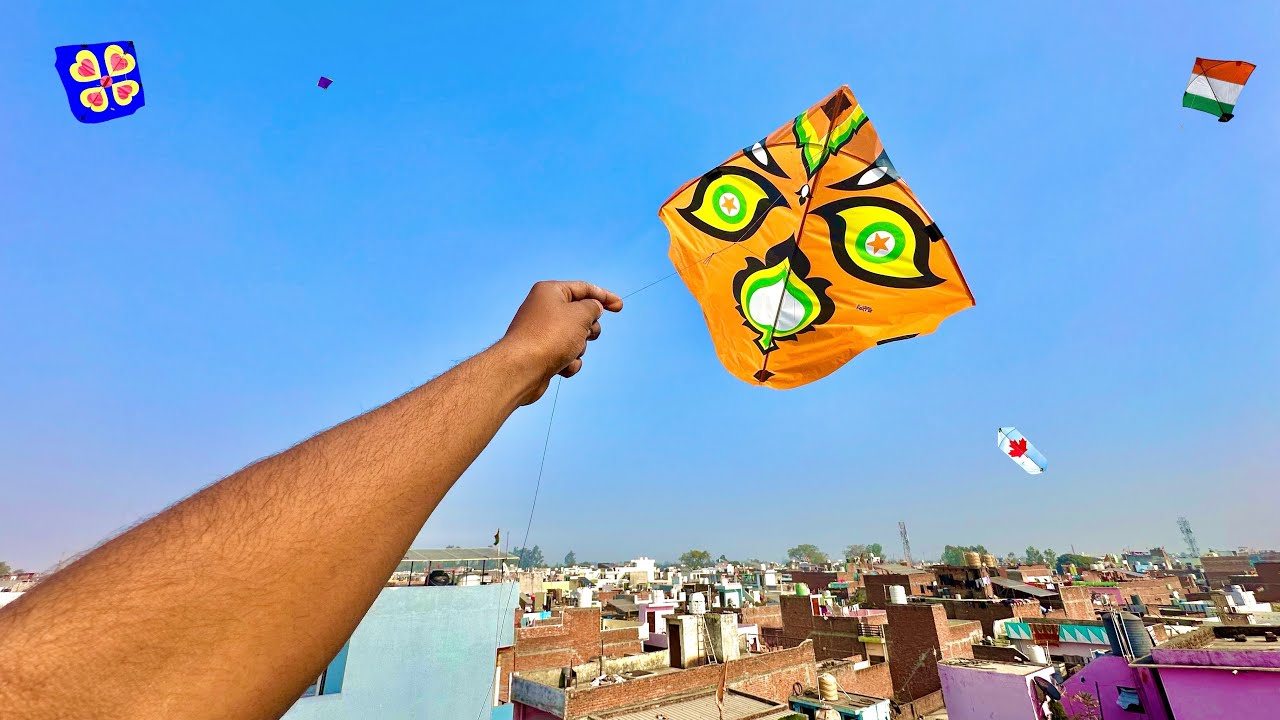 Panni Ki Patang A Gai 🤩| Kite looting On Roof | Kite Cutting | Kite 