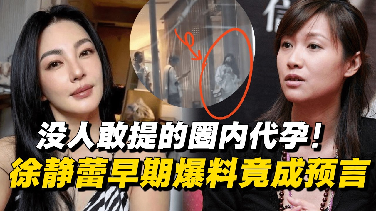 没人敢说的张雨绮代孕内幕！张雨绮&ldquo;大女主&rdquo;人设崩塌？徐静蕾当年的狂言竟成预言！ #徐静蕾 #张雨绮 #窦文涛 #圆桌派 #代孕 #八卦 #内幕