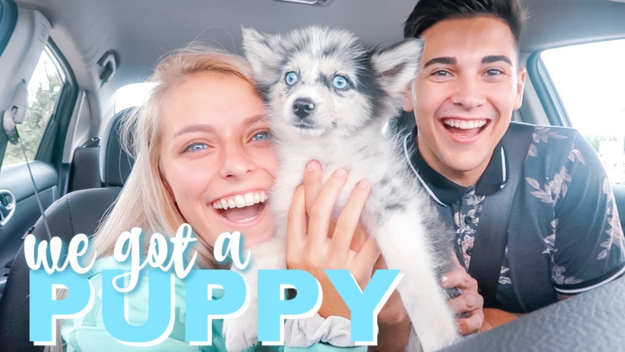 WE GOT A PUPPY!