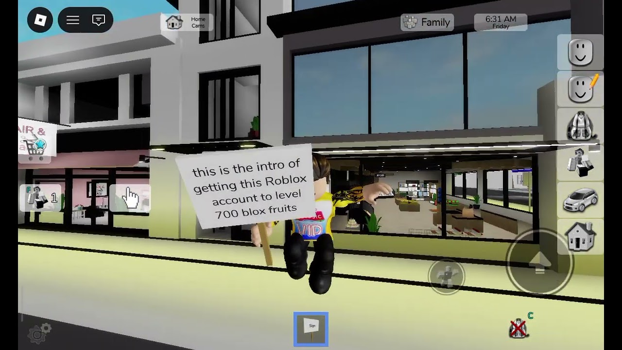 Getting this Roblox acc to lvl 700 in blox fruits trailer (starting tomorrow)