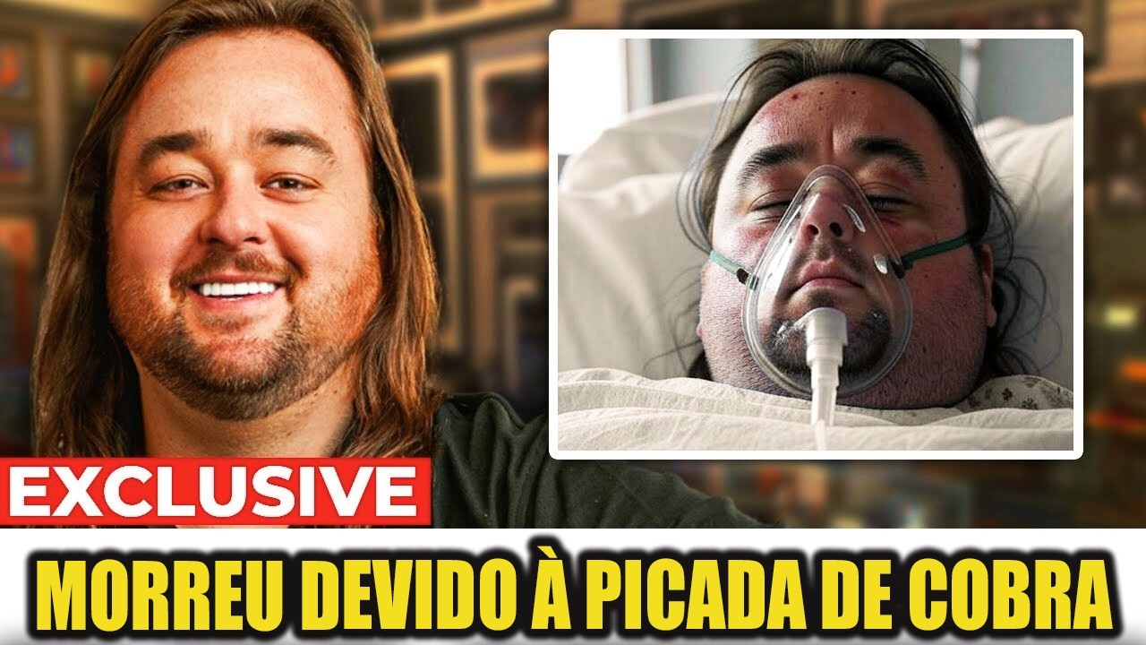 Rostos Famosos e Páginas Esquecidas: Anuários de Celebridades | Pawn Stars
