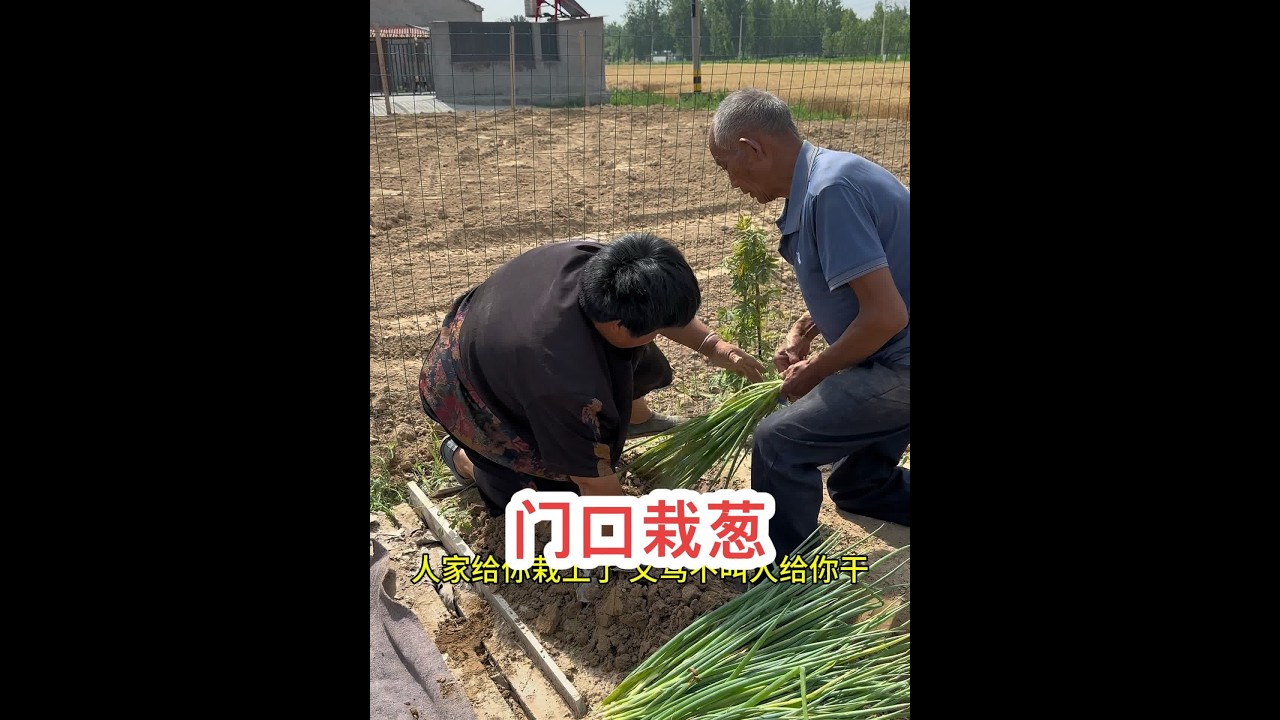 嫂子有时候倔的，太让人受不了了……#创作灵感 #我的乡村生活 #新农人2024 @海娇（金砖哥嫂子小号）