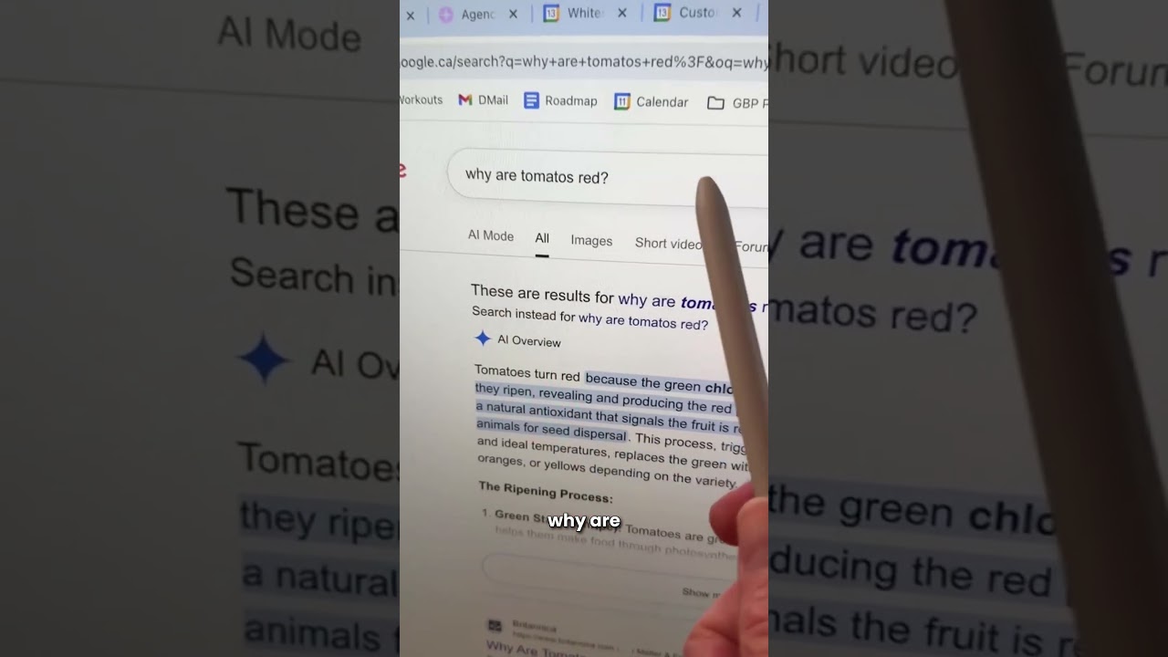 How to Turn Off Google AI Overviews Results