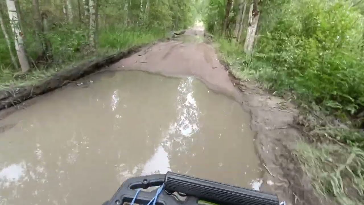 Покатушки на квадрике по лесным дорогам