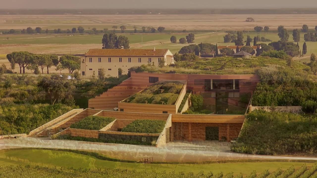 Fattoria Le Mortelle - Maremma