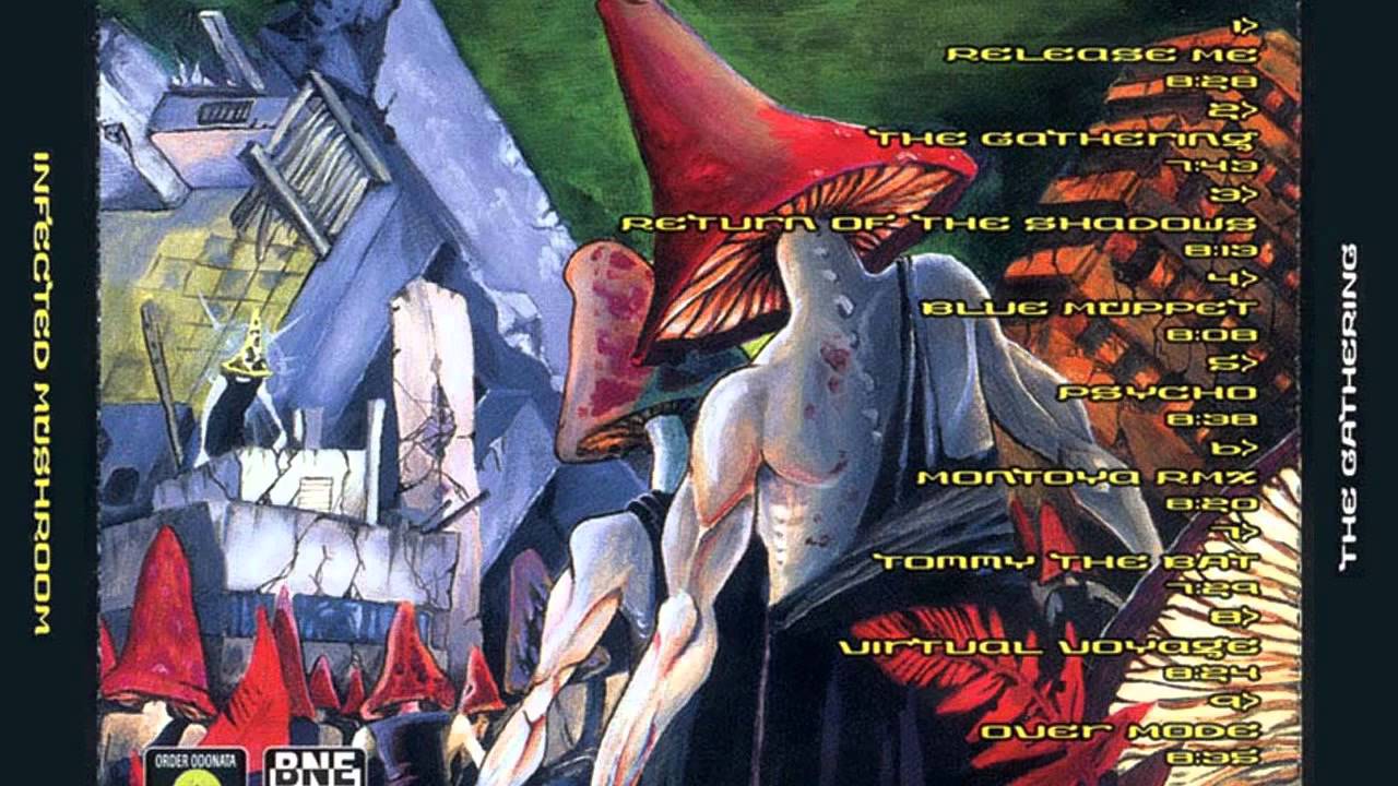 Infected Mushroom - Return of the Shadows